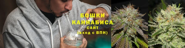 PSILOCYBIN Медногорск