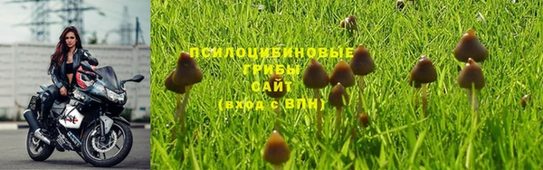 гашик Тольятти