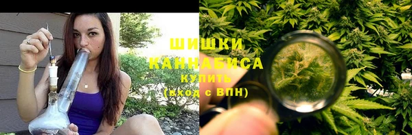 PSILOCYBIN Медногорск